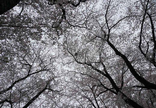 201304021429-DSC06015N.jpg