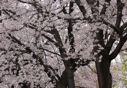 201304021436-DSC09897.jpg