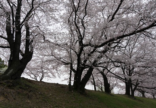 201304021441-DSC06032N.jpg