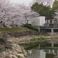 201304021504-DSC09962.jpg