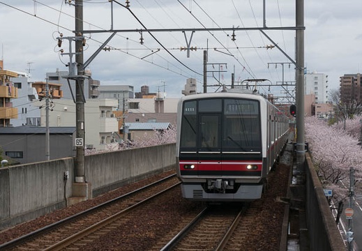 201304031212-DSC06125N.jpg