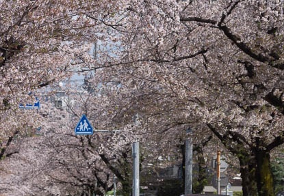 201304031255-DSC00033.jpg