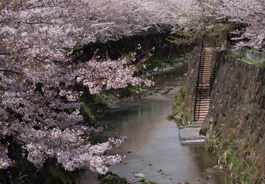 201304031301-DSC00041.jpg