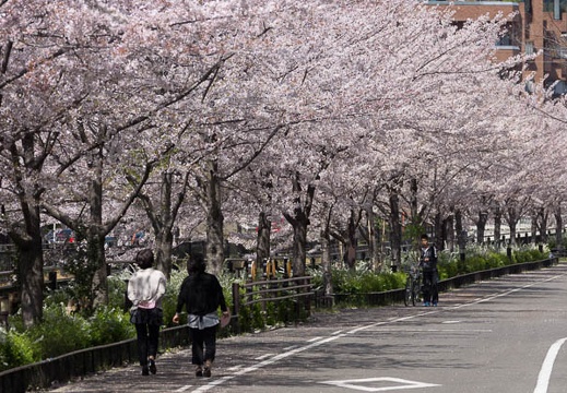 201304031320-DSC00089.jpg