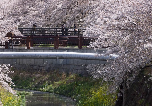 201304031346-DSC00152.jpg