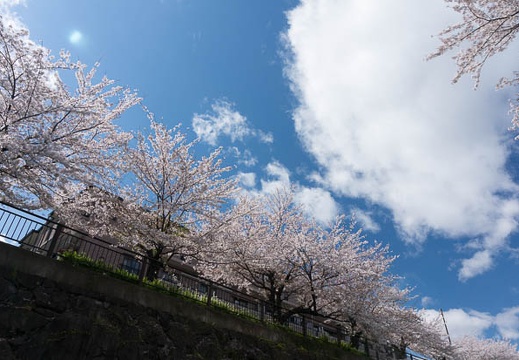 201304031401-DSC06220N.jpg