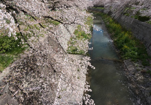 201304031411-DSC06254N.jpg
