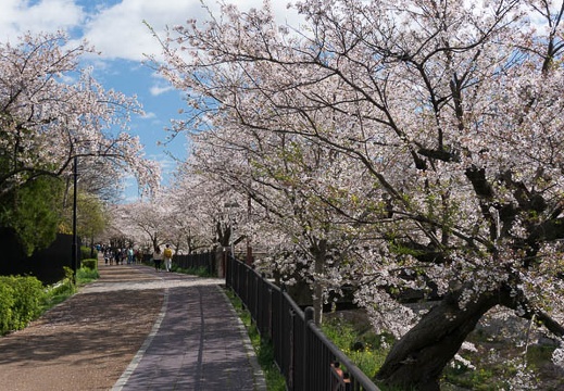 201304031421-DSC06282N.jpg