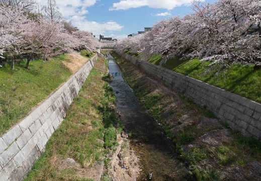 201304031423-DSC06289N.jpg