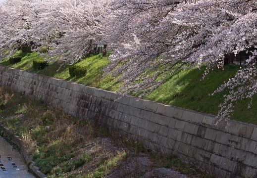 201304031428-DSC00251.jpg