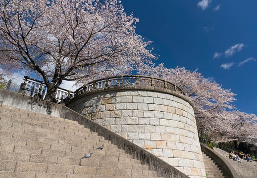 04.03 山崎川