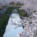 201304031534-DSC00372.jpg