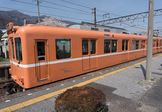 201304041052-DSC06418N.jpg