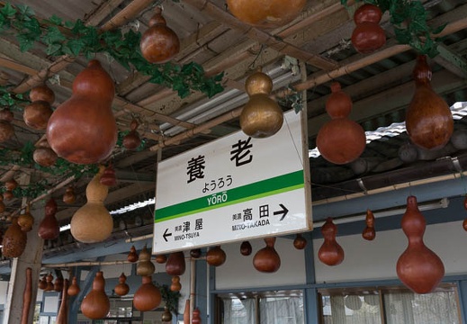 201304041054-DSC06423N.jpg