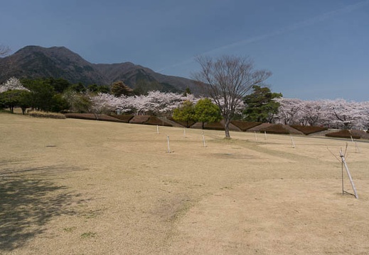201304041126-DSC06475N.jpg