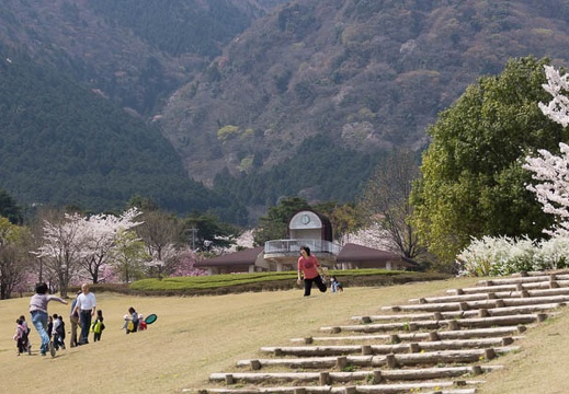 201304041127-DSC00587.jpg