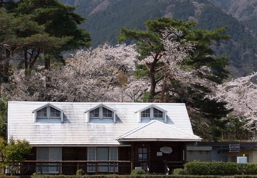 201304041146-DSC00609.jpg