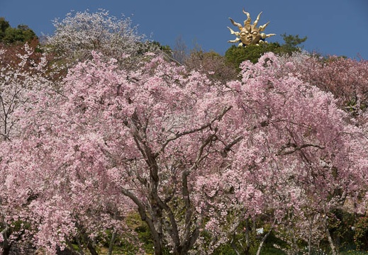 04.05 犬山