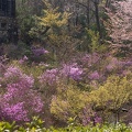 201304051426-DSC01287.jpg
