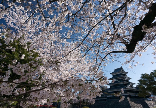 201304080755-DSC06962N.jpg