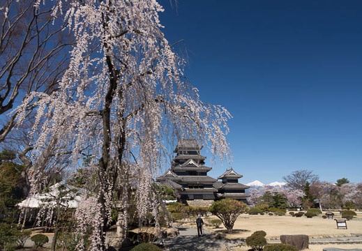 201304080901-DSC01869.jpg