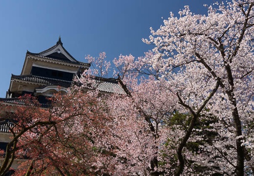 201304080911-DSC01900.jpg