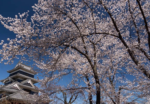 201304080920-DSC01930.jpg