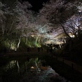 201304082119-DSC02461.jpg