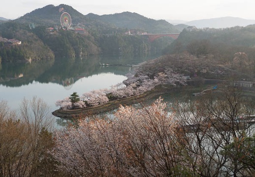 201304090623-DSC02504.jpg