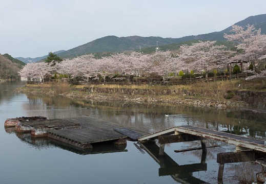 201304090722-DSC02589.jpg