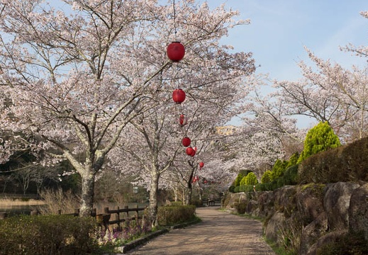 201304090727-DSC02598.jpg