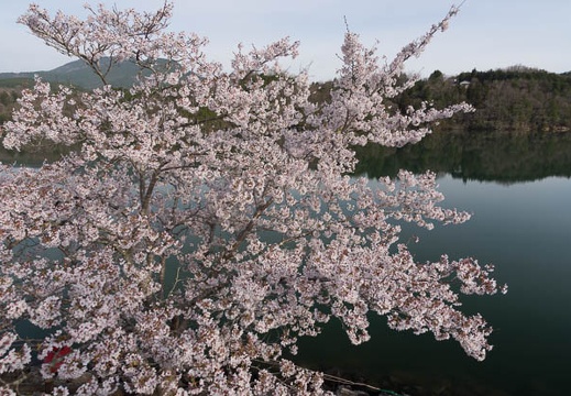 201304090736-DSC02611.jpg