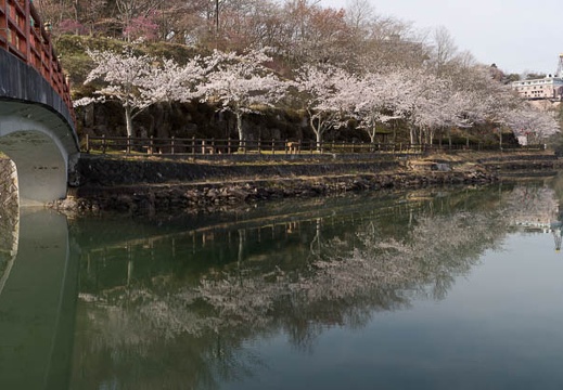 201304090805-DSC02670.jpg
