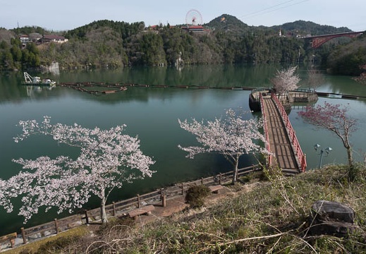 201304090816-DSC07419N.jpg
