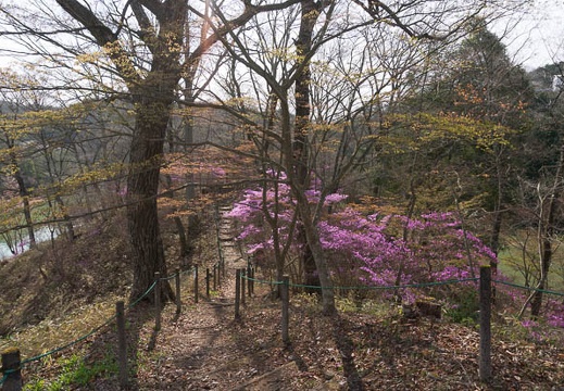 201304090822-DSC07427N.jpg