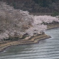 201304090929-DSC02789.jpg