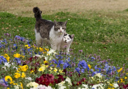 201304101228-DSC03009.jpg