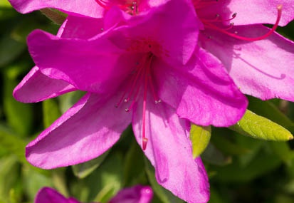 201304101249-DSC07680N.jpg