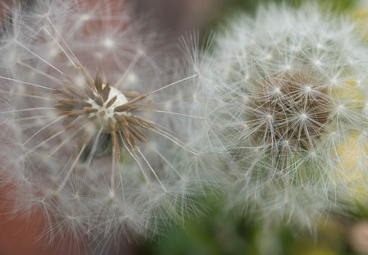 201304101252-DSC07685N.jpg