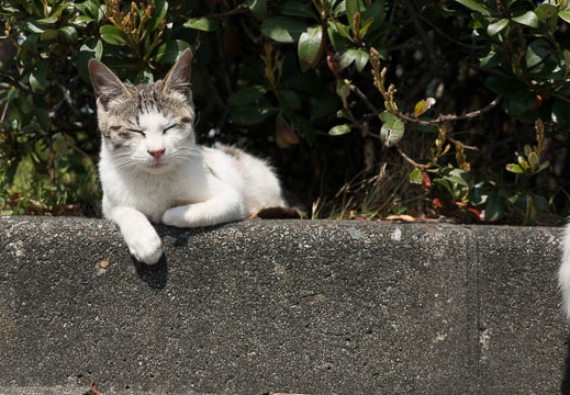 201304101259-DSC07706N.jpg