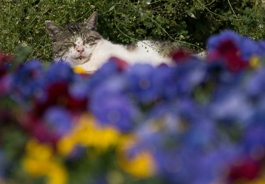 201304101443-DSC03183.jpg