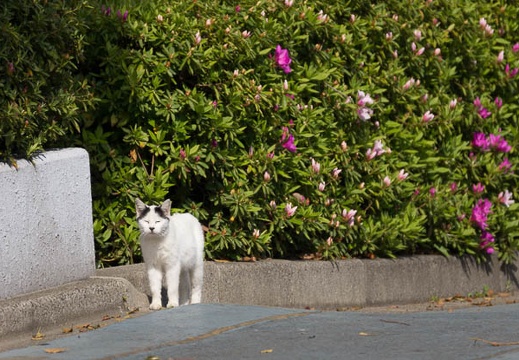 201304101449-DSC03208.jpg