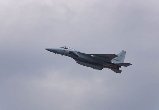 201304111217-DSC03653.jpg