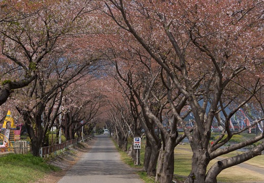 201304121050-DSC03732.jpg