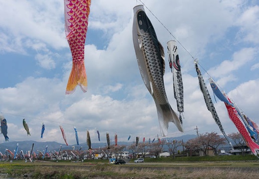 201304121055-DSC07907N.jpg
