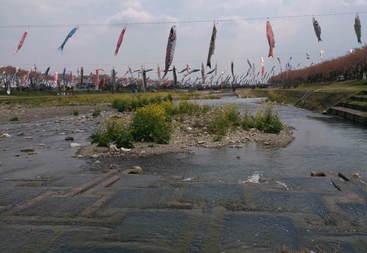 20130412111147-SO-04D.jpg