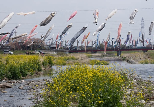 201304121112-DSC03770.jpg