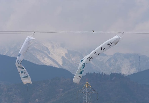 201304121114-DSC03774.jpg
