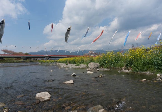 201304121116-DSC07951N.jpg