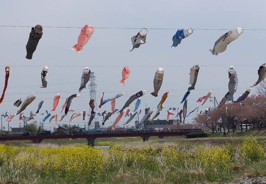 201304121140-DSC03818.jpg